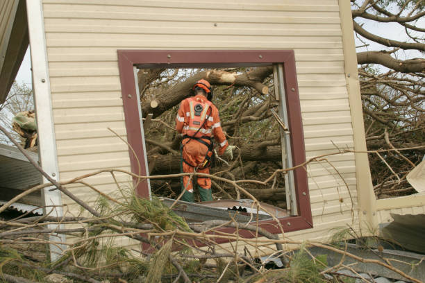 Best Utility Line Clearance  in Orchard City, CO